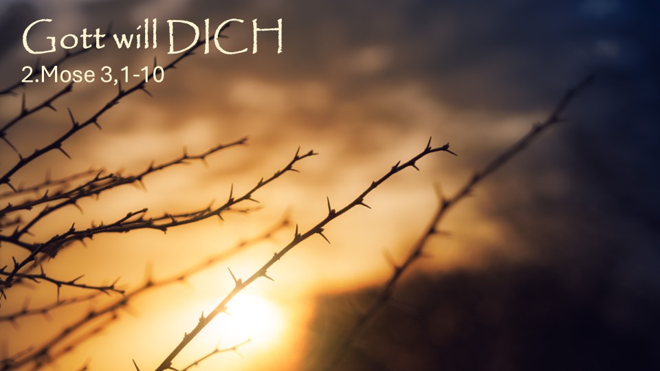Gott will dich